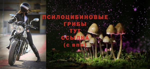 PSILOCYBIN Богданович